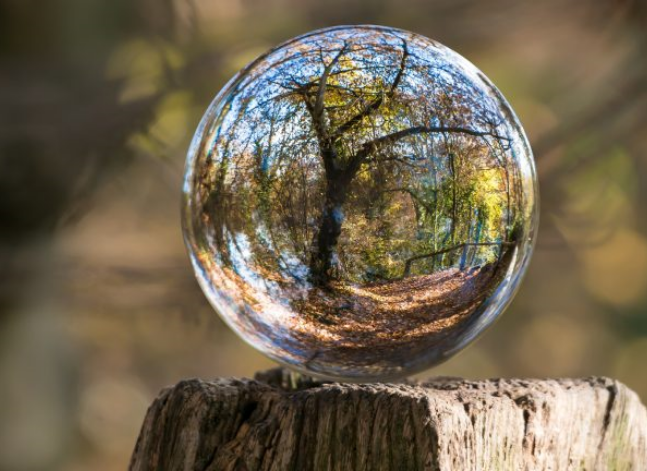 Güzel Bir Gelecek İçin Geri Kazanılan Ahşap Atıklar