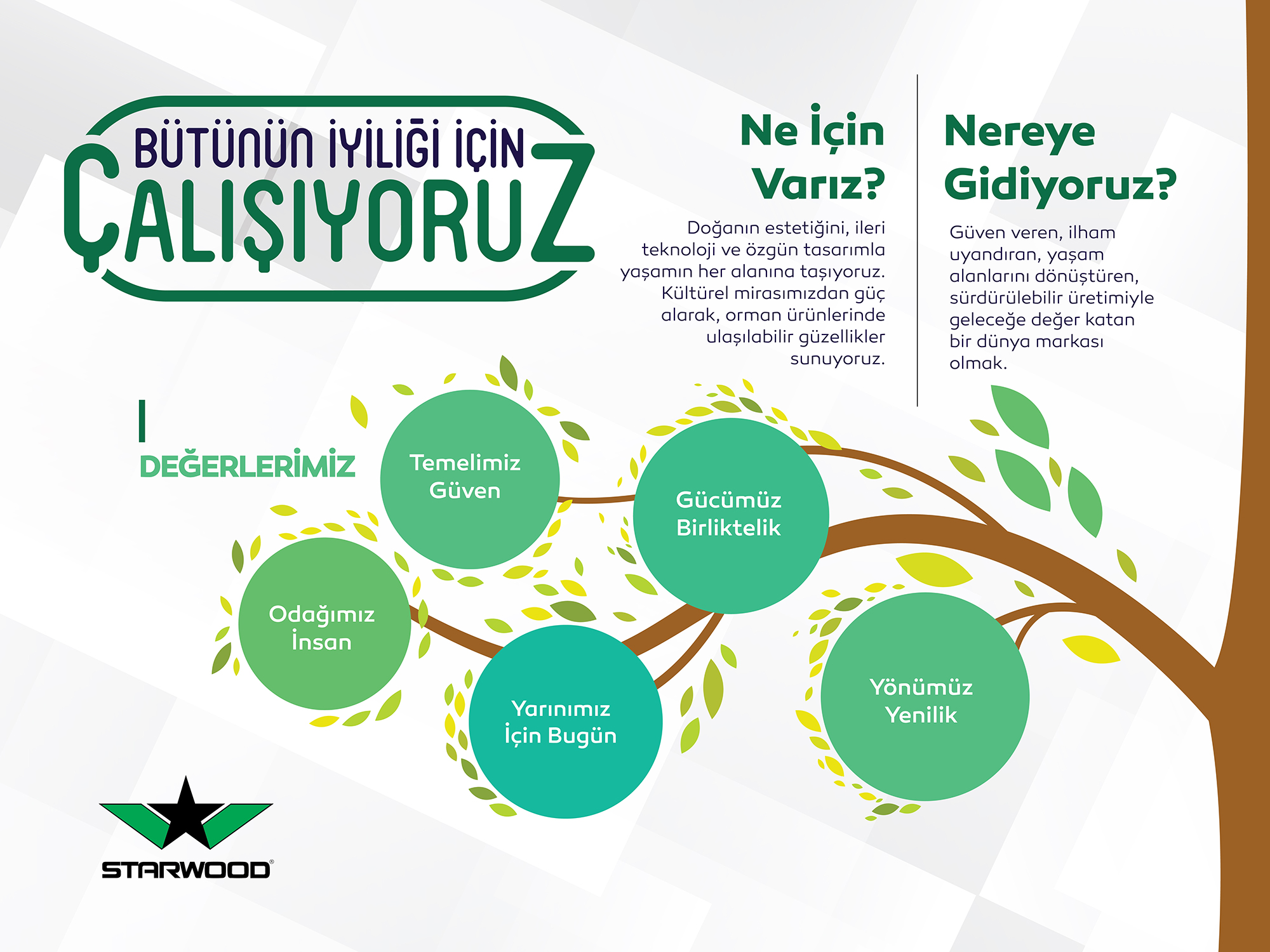 STARWOOD 280X210CM BOARD